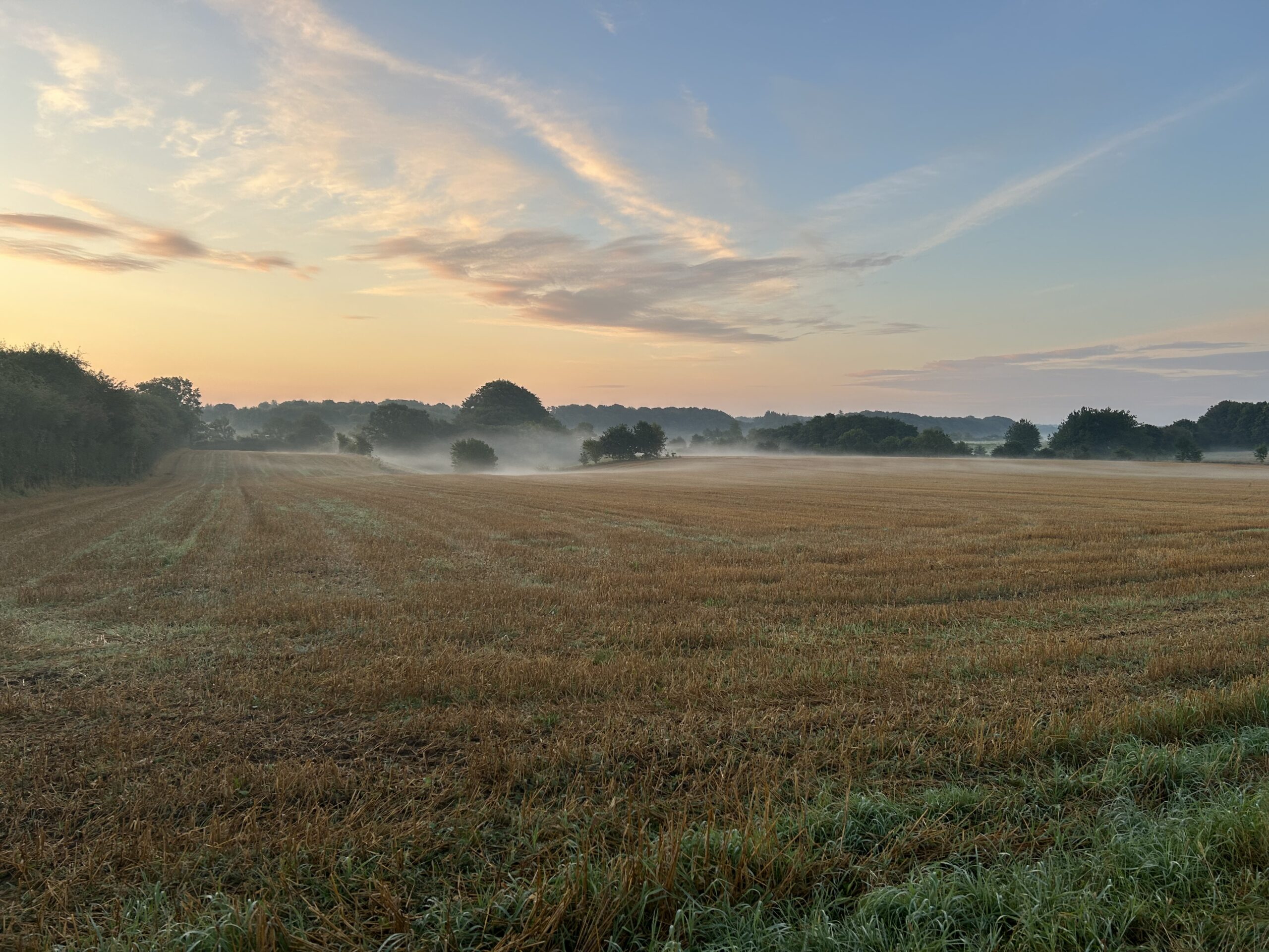 Erhvervspsykologisk rådgivning